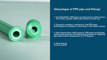 뜨거운 판매 고품질 PPR 파이프 피팅/남성/여성 스레드 파이프 피팅